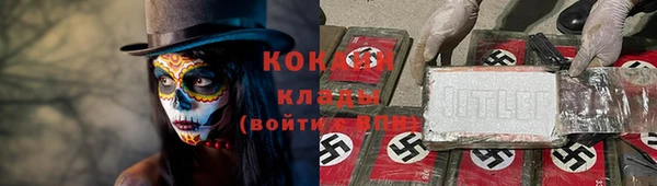 амф Бронницы