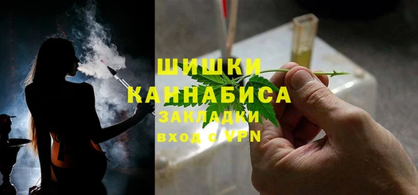 индика Верея