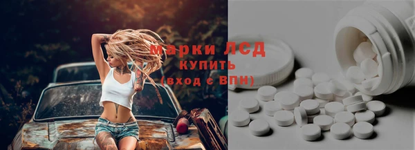 индика Верея