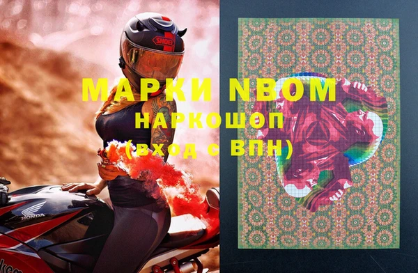 индика Верхнеуральск